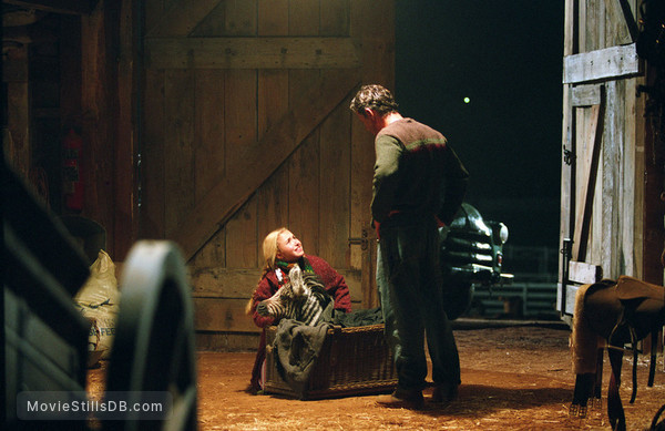 Racing Stripes Mandy Moore Stripes Racing 2005 Hayden Panettiere Bruce Zebra Mandy Moore Walsh Movie Greenwood Scene Emmet Muniz Formula