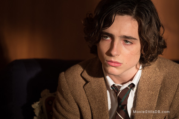 A Rainy Day in New York - Publicity still of Timothée Chalamet