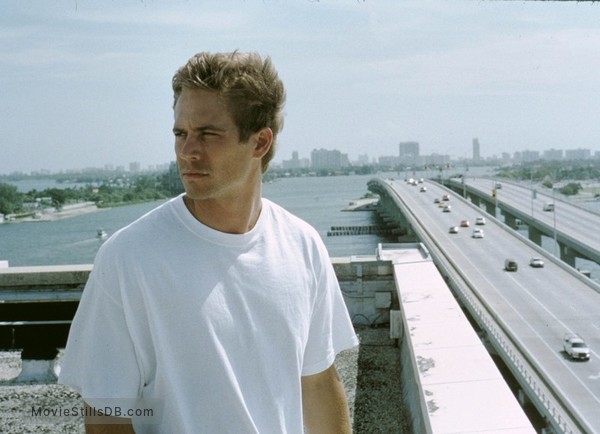 2 Fast 2 Furious - Publicity still of Paul Walker 2 Fast 2 Furious - Publicity still of Paul Walker