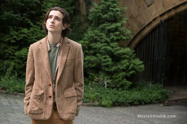 A Rainy Day In New York Publicity Still Of Timothee Chalamet
