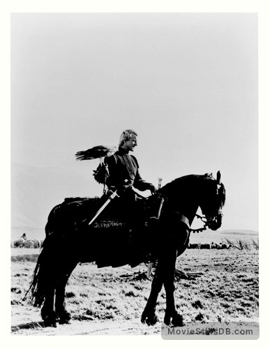 Ladyhawke Movie Horse