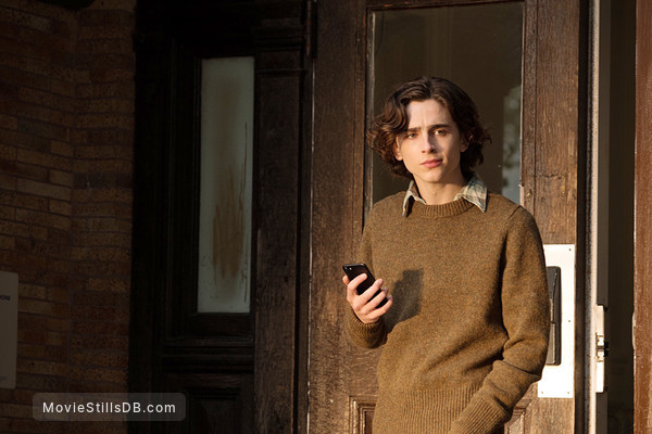 A Rainy Day in New York - Publicity still of Timothée Chalamet