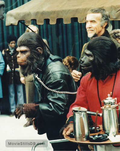 Conquest Of The Planet Of The Apes Publicity Still Of Roddy Mcdowall And Ricardo Montalban