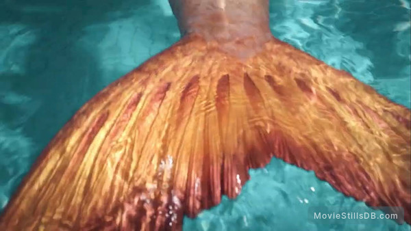 Will There Be A Mako Mermaids Season 5? Everything We Know