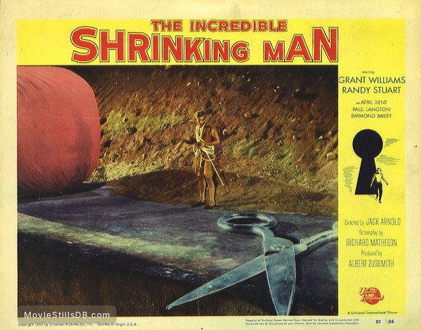 The Incredible Shrinking Man - Lobby Card