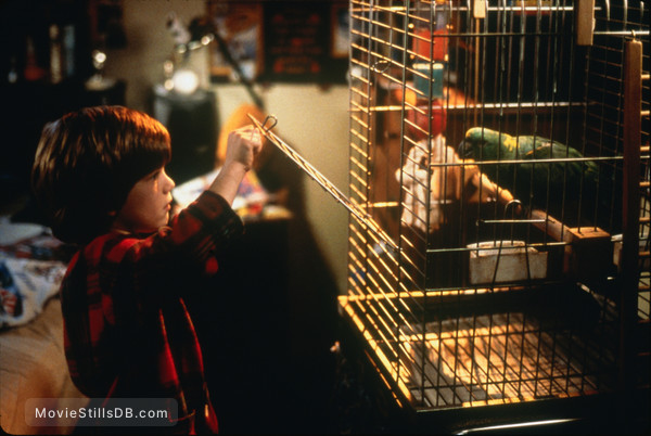 Home Alone 3 Publicity Still Of Alex D Linz