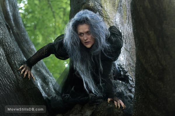 Into the Woods - Publicity still of Meryl Streep Into the Woods - Publicity still of Meryl Streep