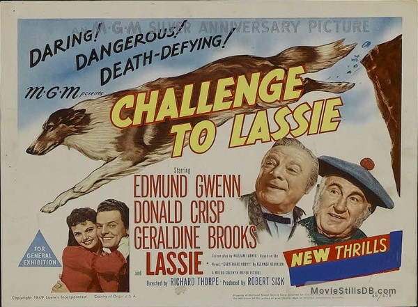 Challenge to Lassie'' movie poster, 1949 Mixed Media by Movie