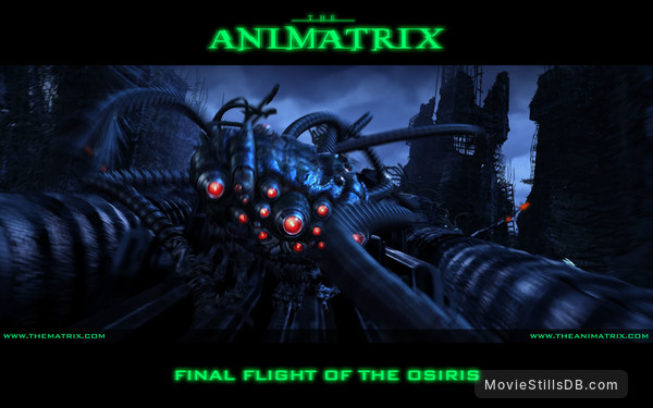 (the)-animatrix