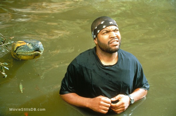 Anaconda - Publicity still of Ice Cube Anaconda - Publicity still of Ice Cube