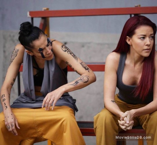 la puma enemigo íntimo