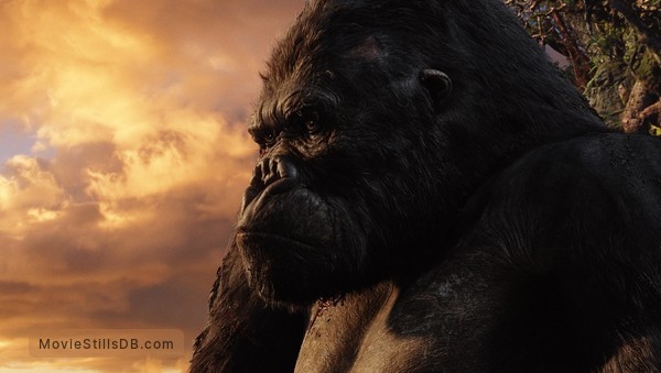 King Kong - Publicity still King Kong - Publicity still