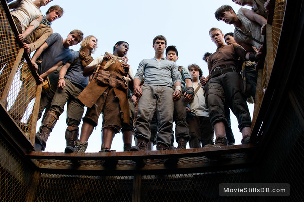 The Maze Runner (2014) — The Movie Database (TMDB)