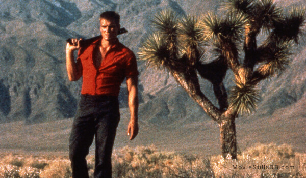 joshua-tree-lg.jpg