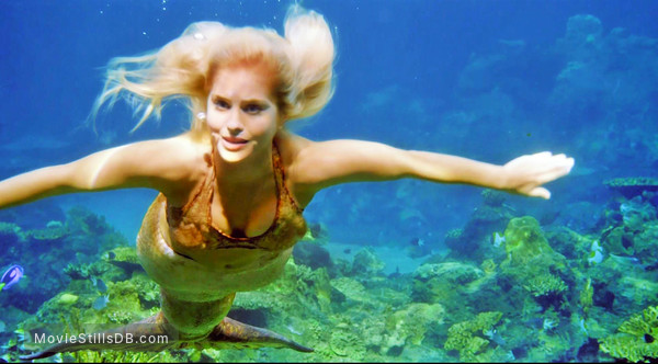 mako mermaids swimming