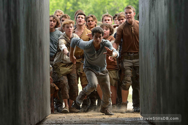 The Maze Runner Movie Photos, The Maze Runner Movie Stills