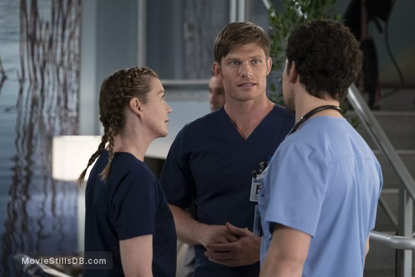 greys anatomy 15 x 10 greys anatomy 15 x 10