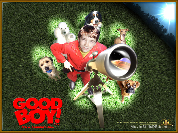 Good Boy! - Wallpaper with Liam Aiken Good Boy! - Wallpaper with Liam Aiken