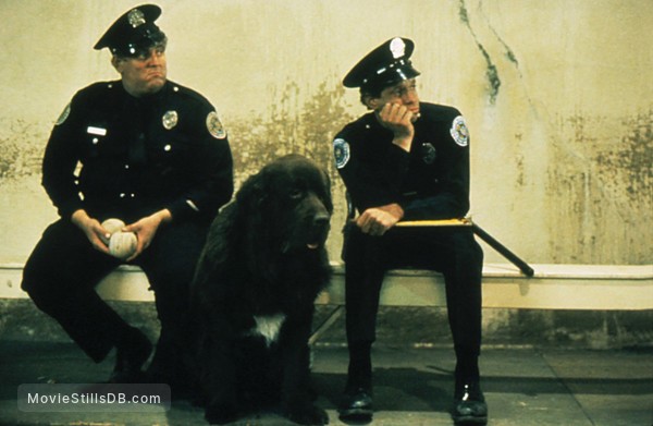 Police Academy Publicity Still Of Steve Guttenberg